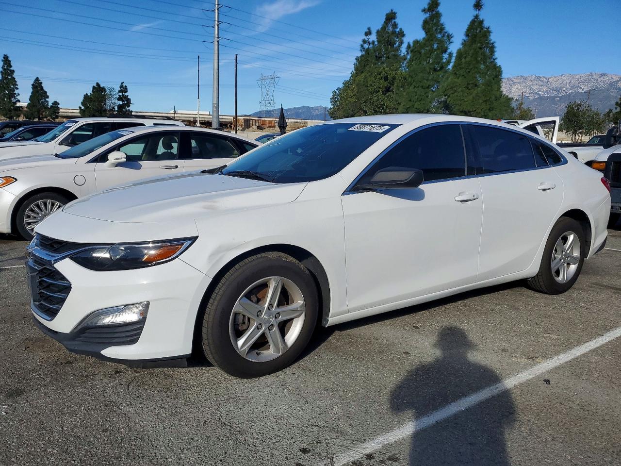 CHEVROLET MALIBU LS 2020