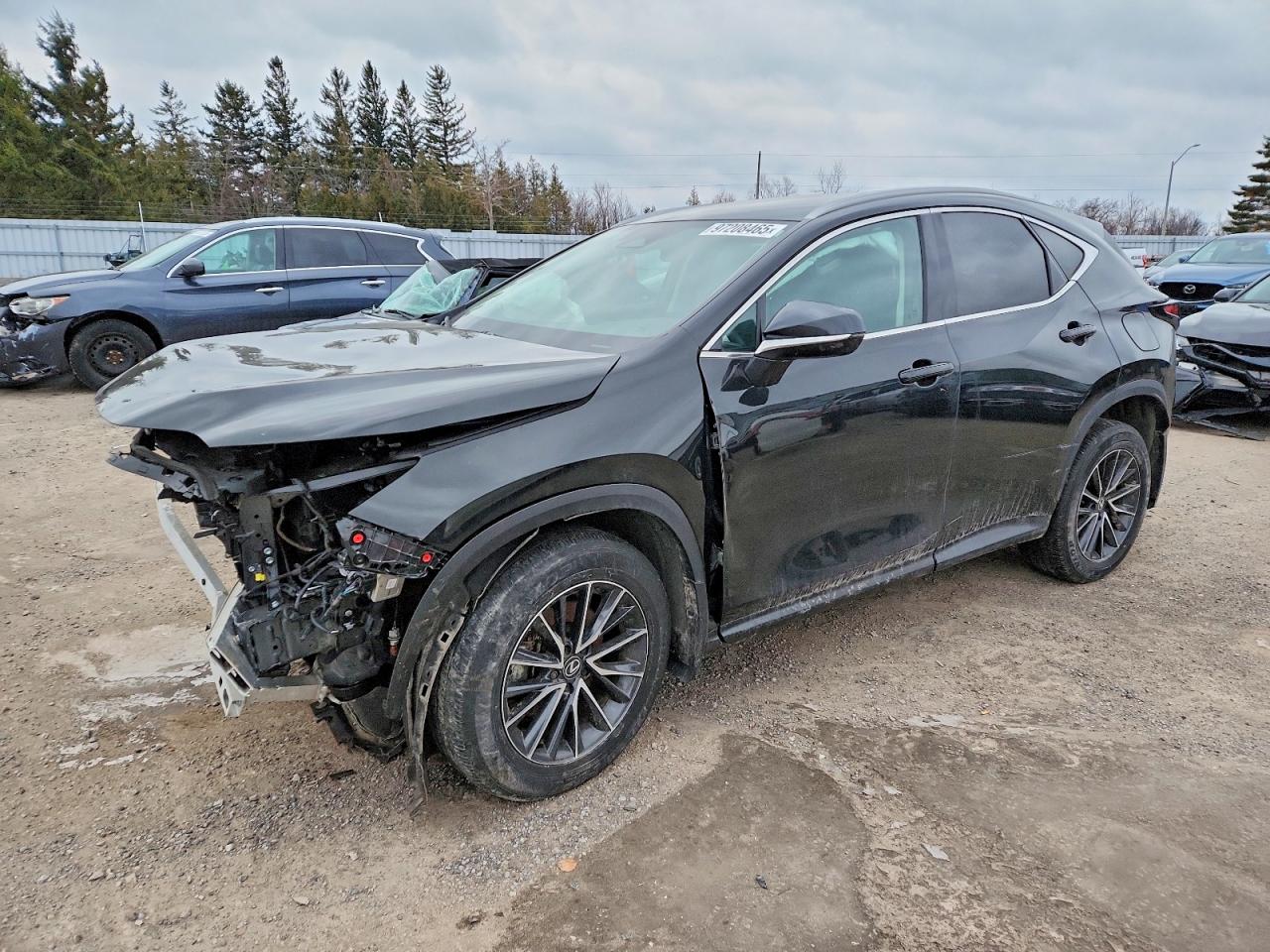 LEXUS NX 2025
