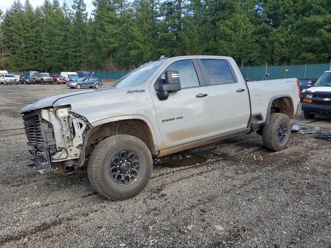 CHEVROLET SILVERADO 2025