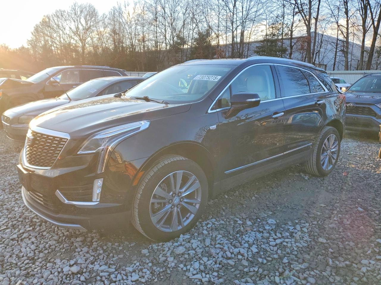 CADILLAC XT5 2024