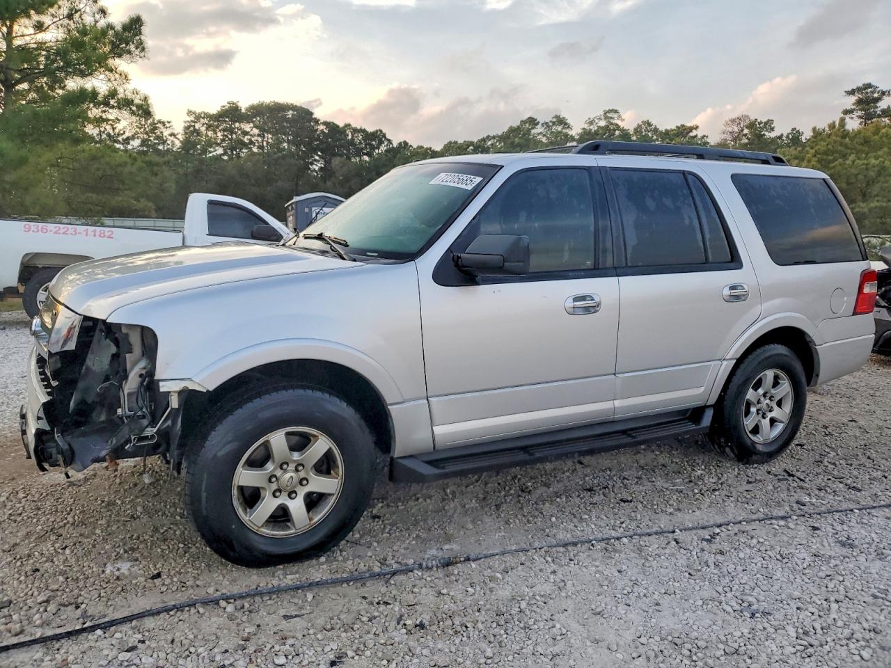 FORD EXPEDITION 2010