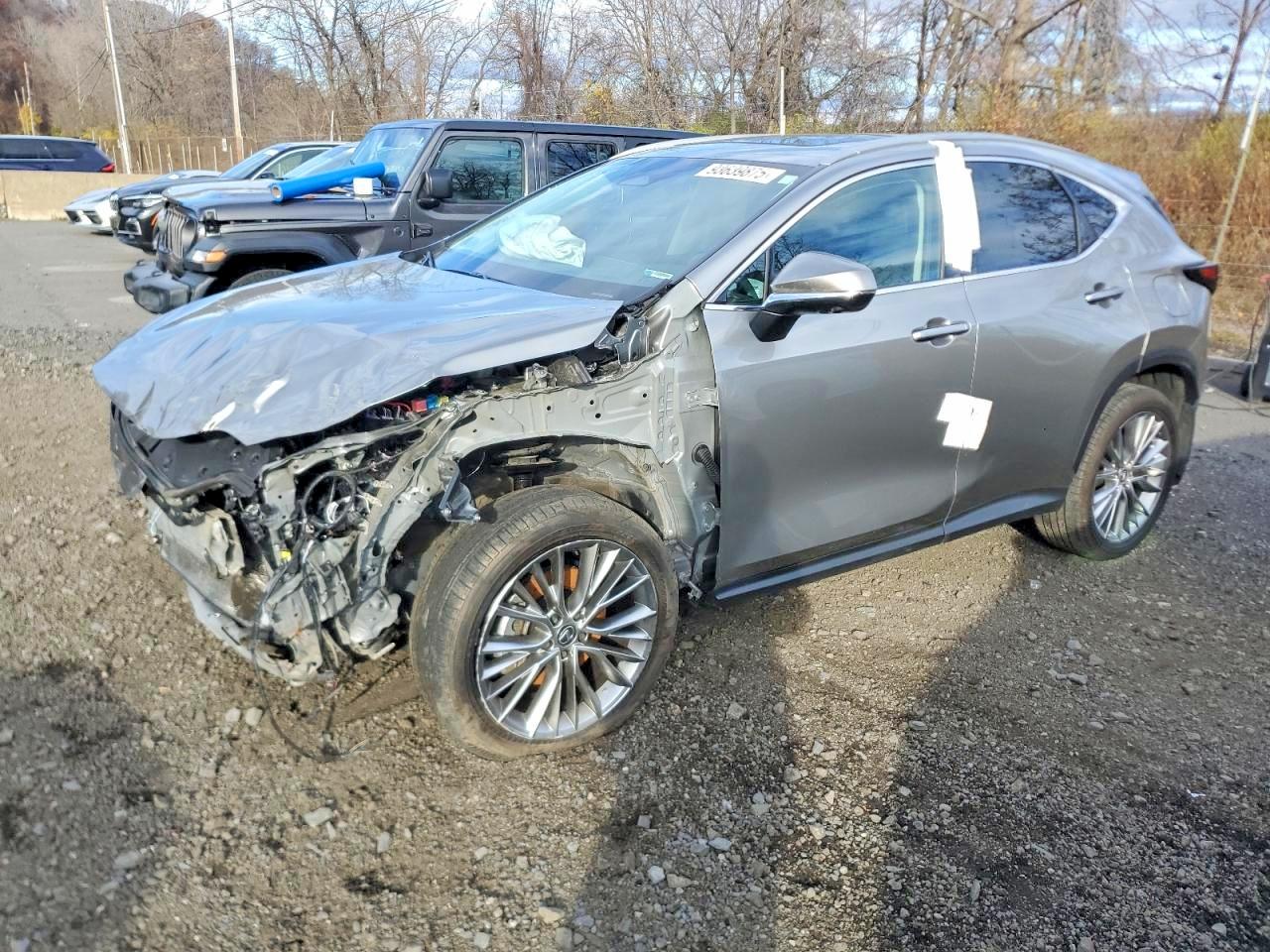 LEXUS NX 2025