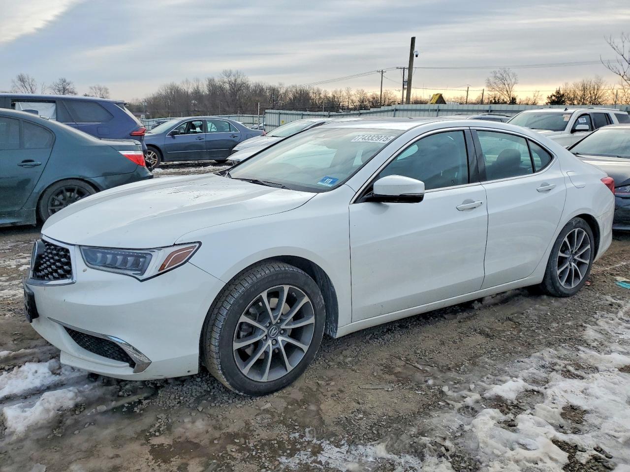 ACURA TLX 2019