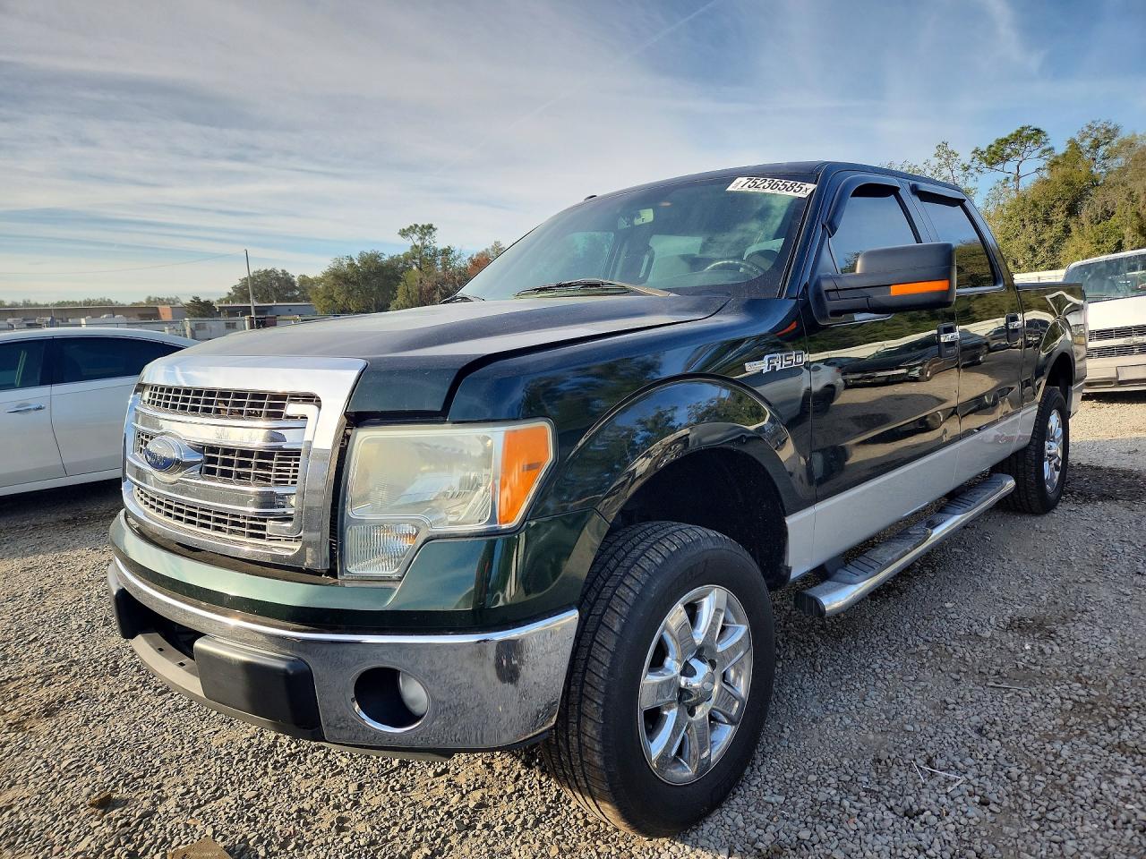 FORD F-150 2013