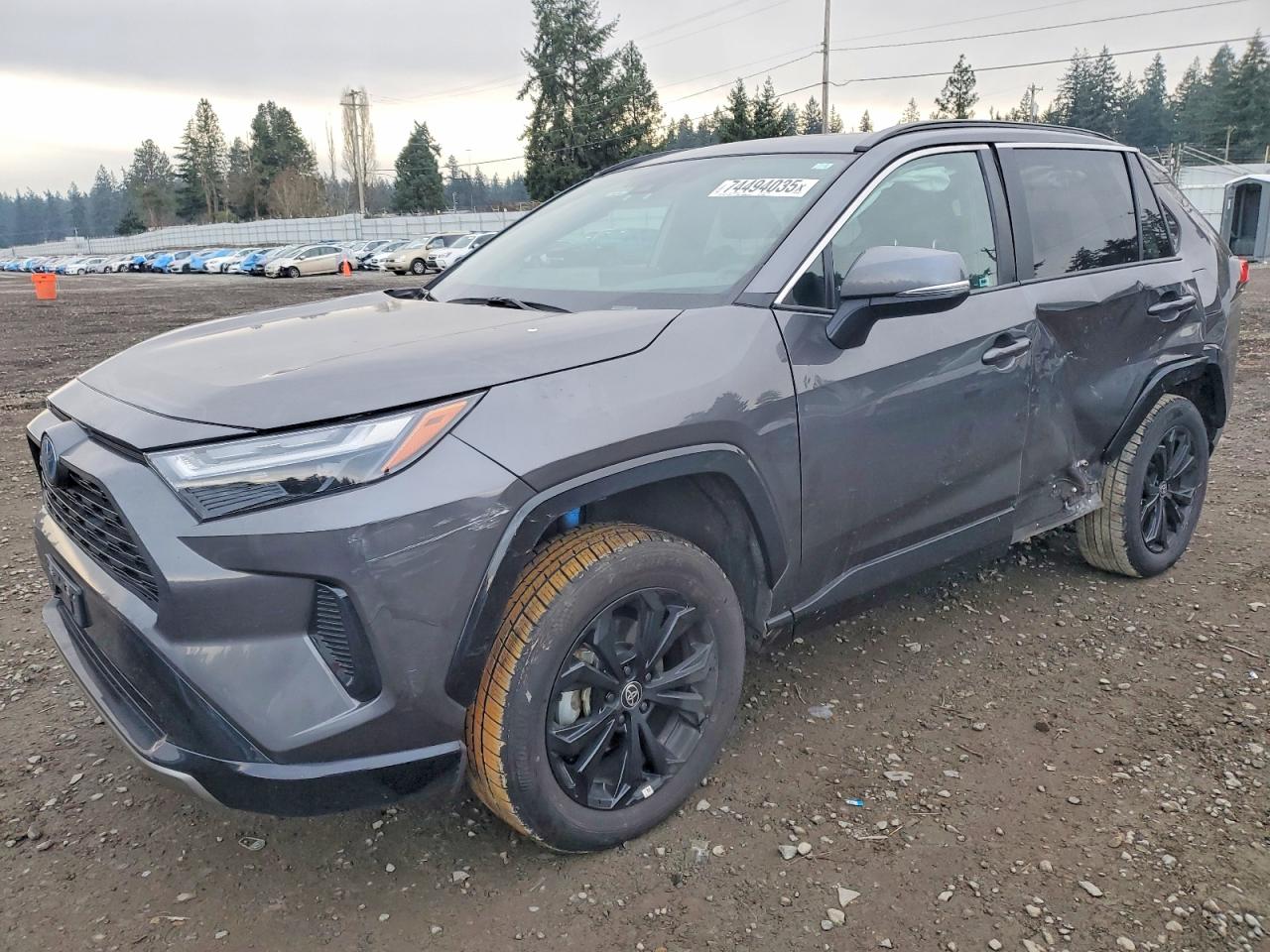 TOYOTA RAV4 HYBRID 2024