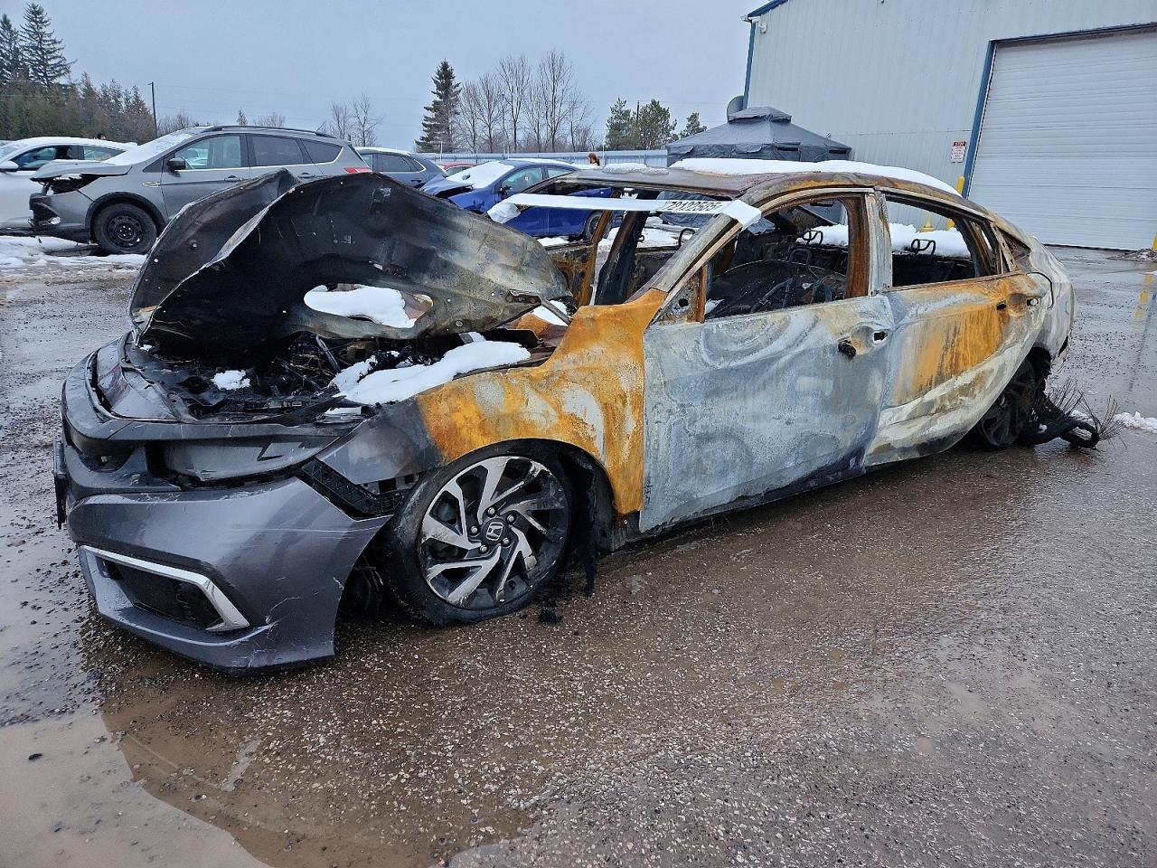 HONDA CIVIC 2019