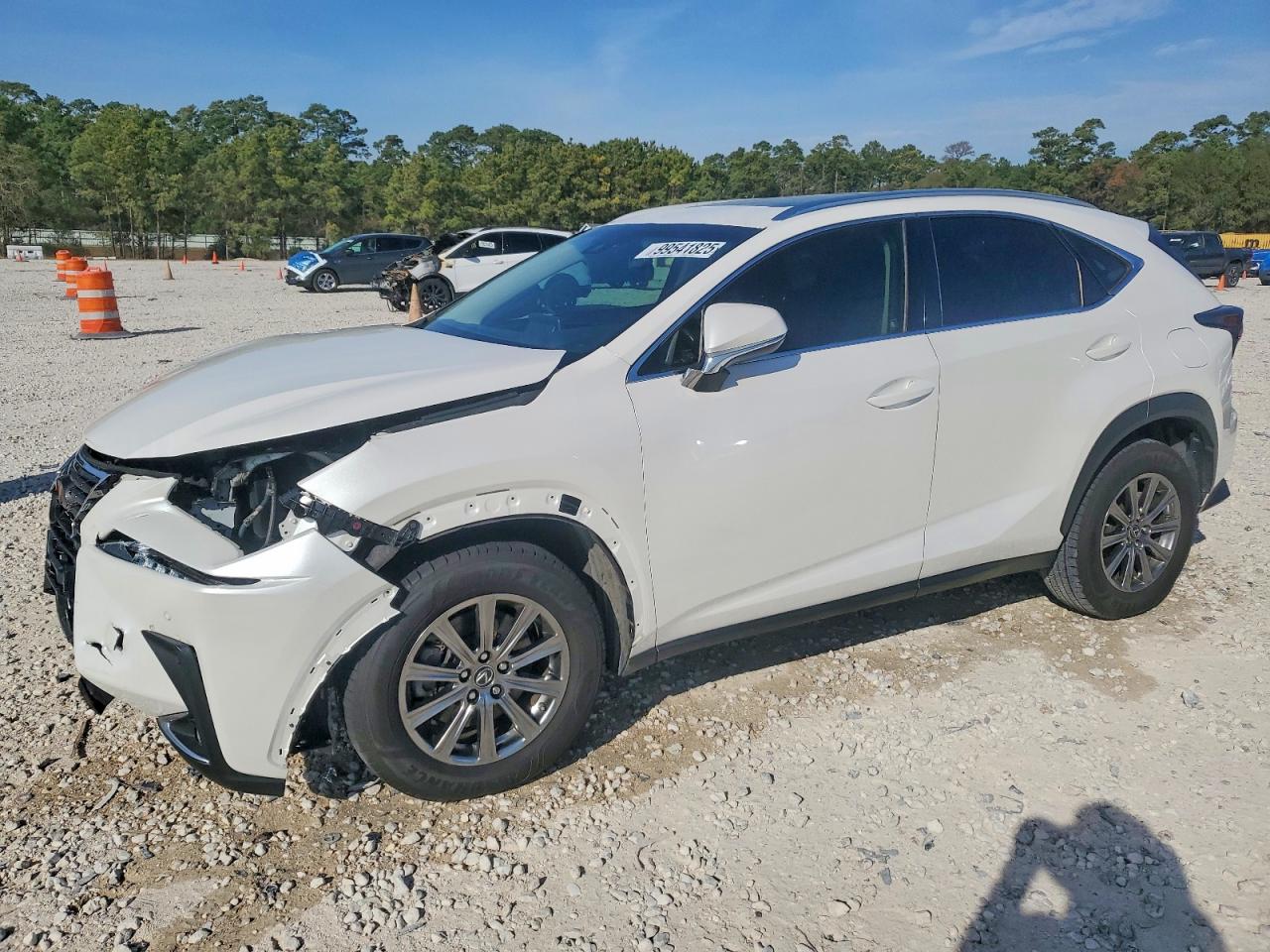 LEXUS NX 2018