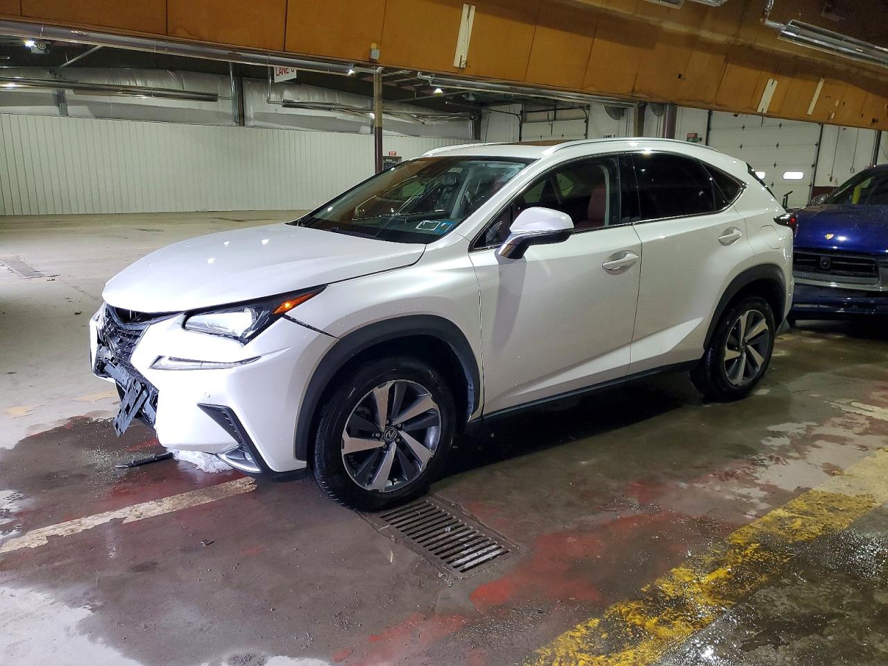 LEXUS NX 2020