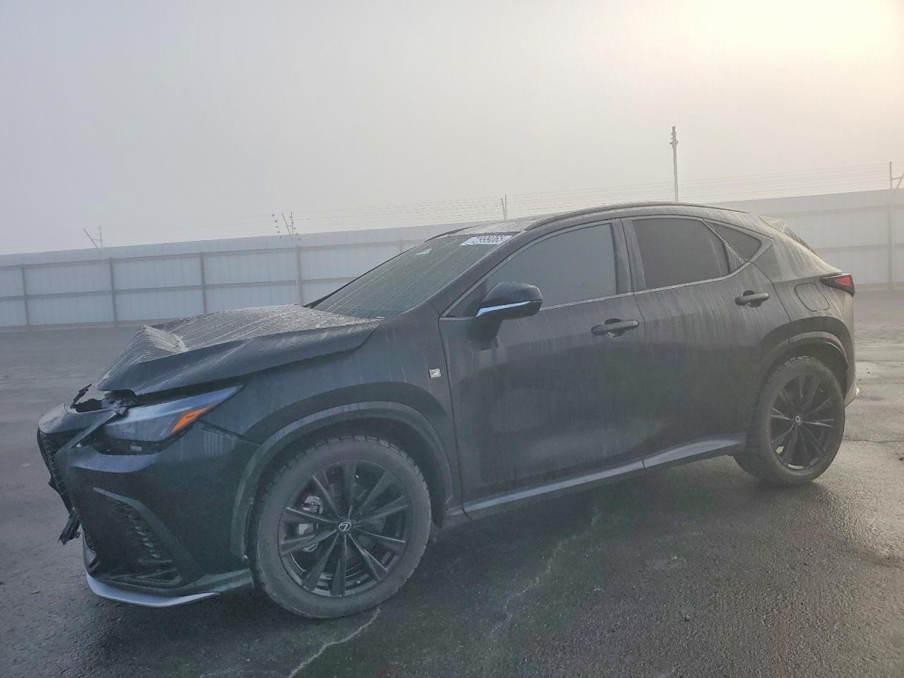 LEXUS NX 2022