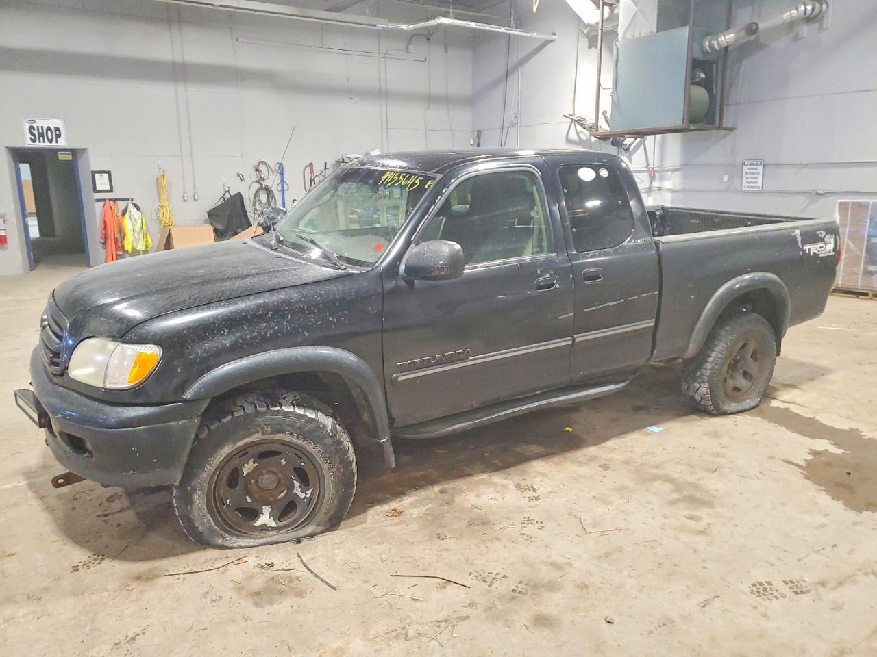 TOYOTA TUNDRA 2002
