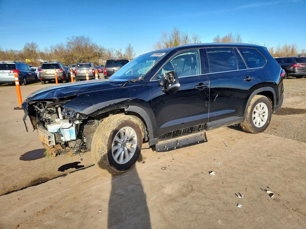 TOYOTA GRAND HIGHLANDER 2024