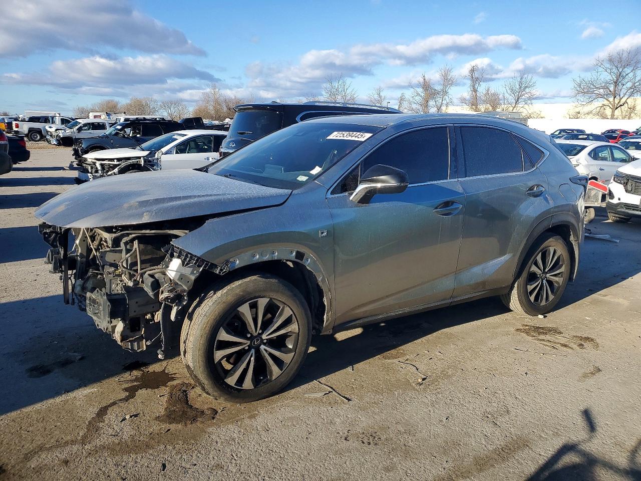 LEXUS NX 2019