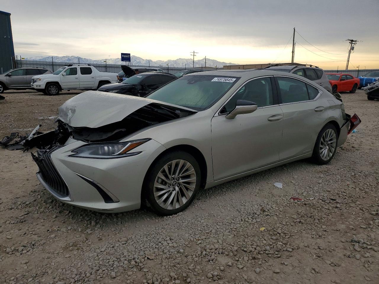 LEXUS ES 2019