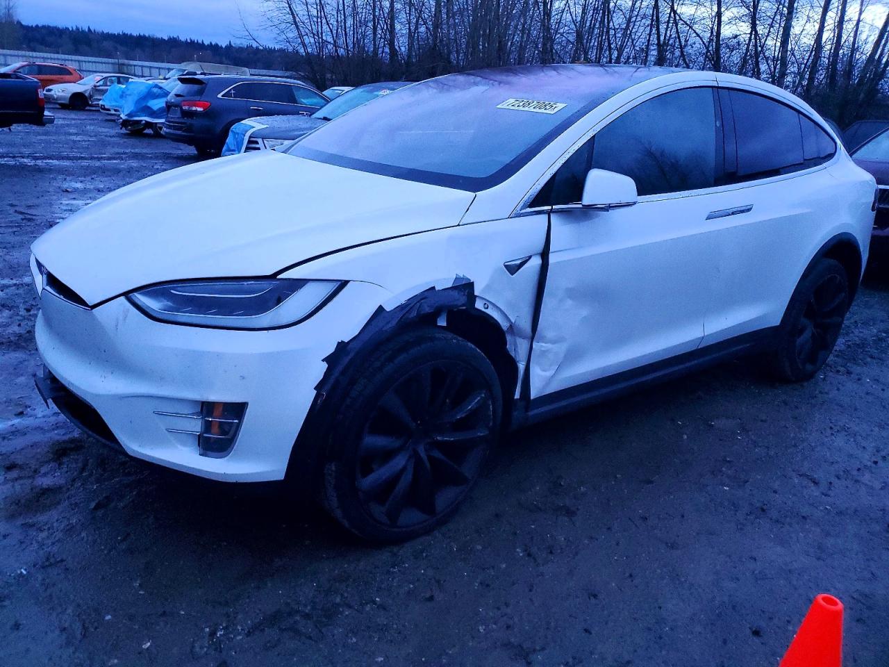 TESLA MODEL X 2017