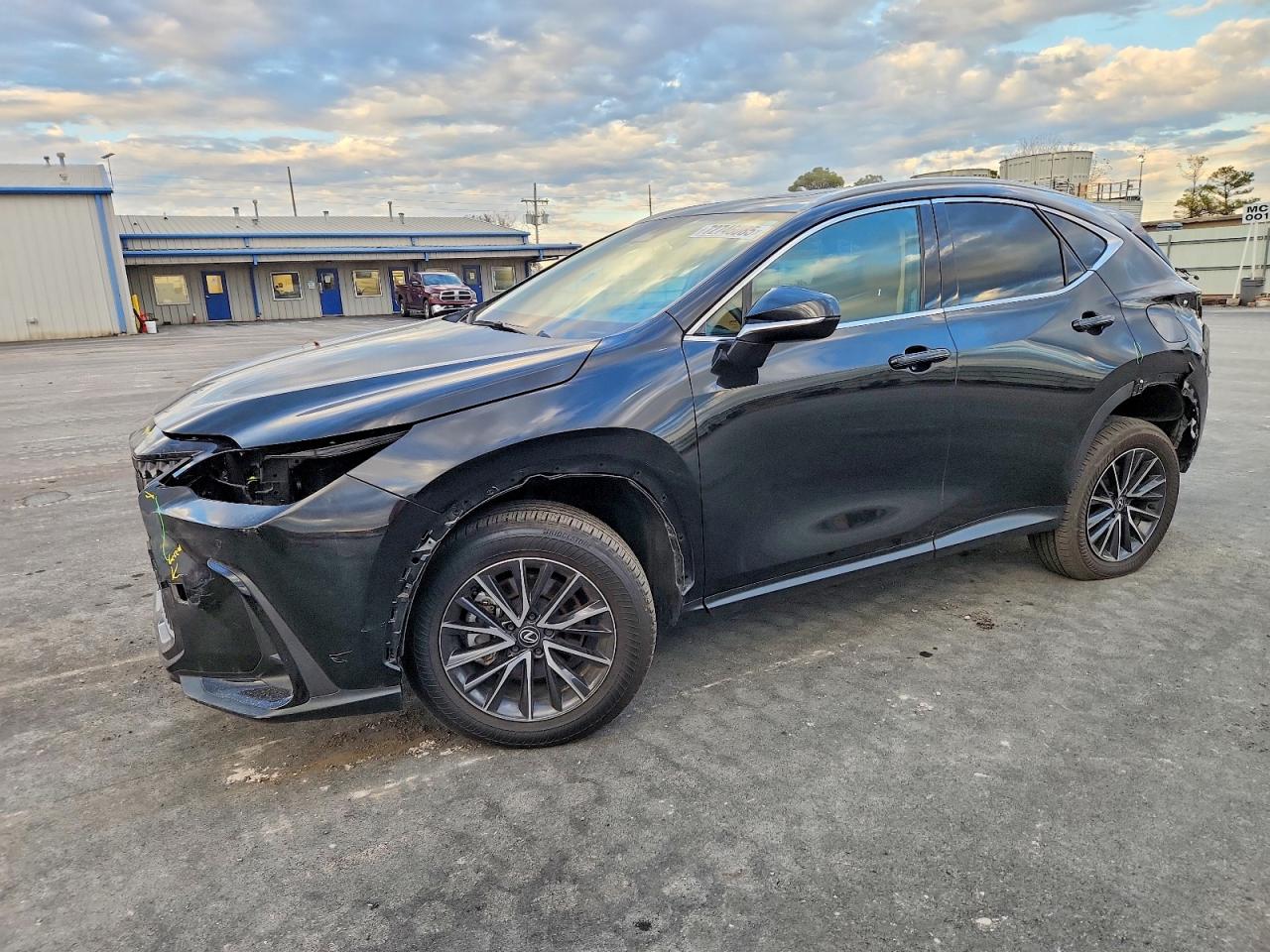 LEXUS NX 2025