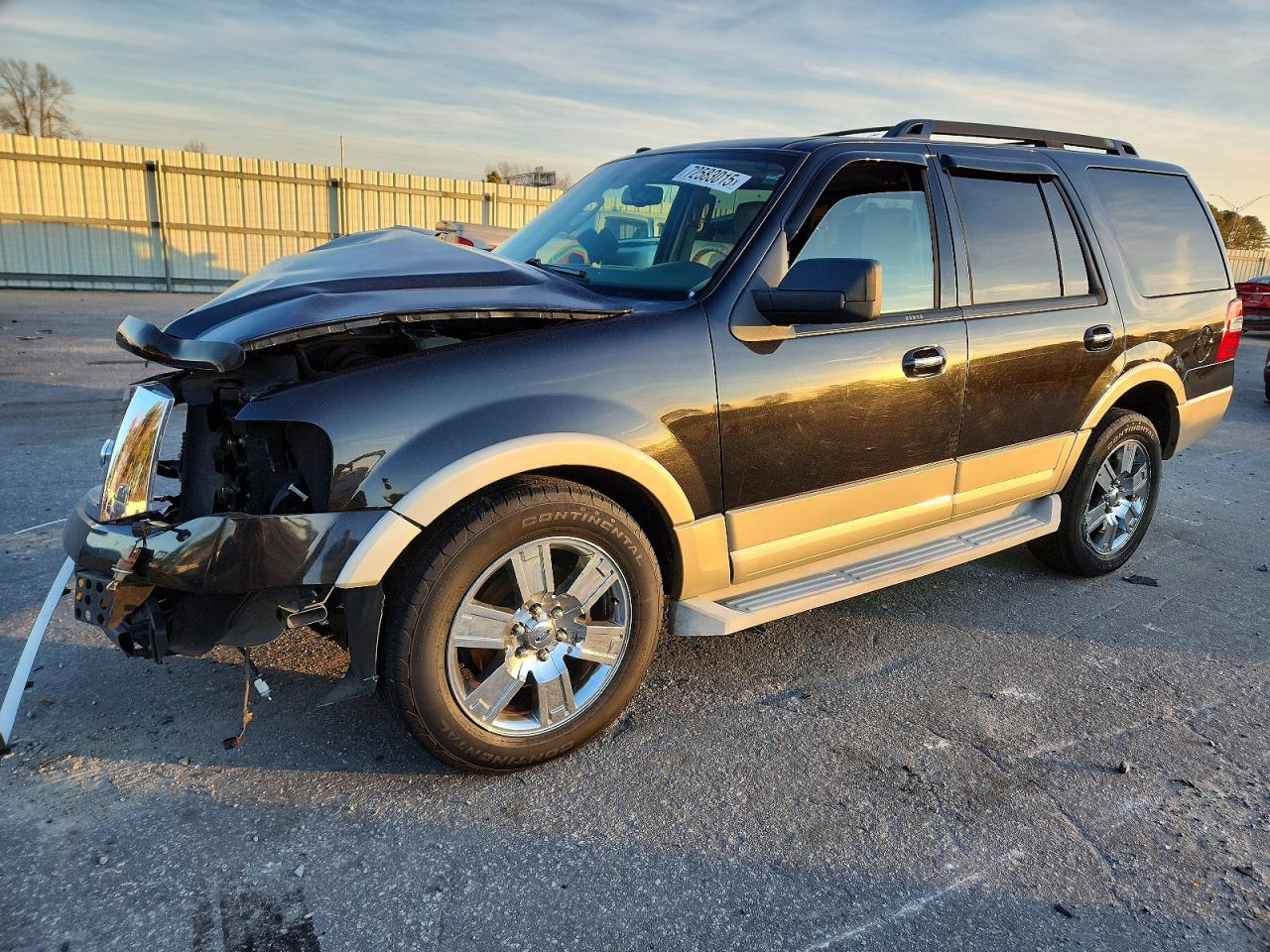 FORD EXPEDITION 2010
