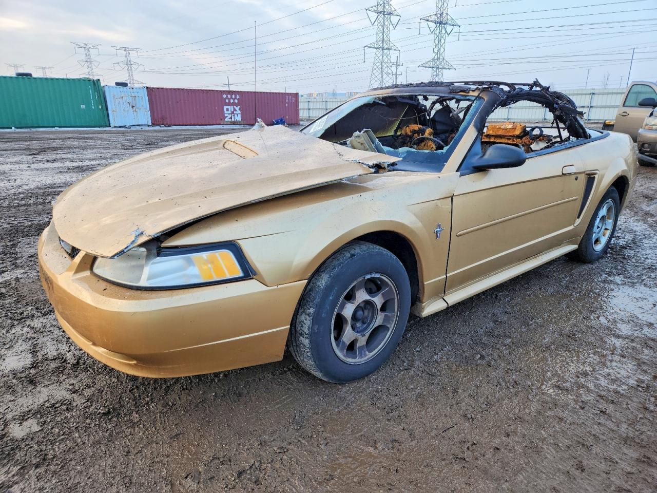 FORD MUSTANG 2000