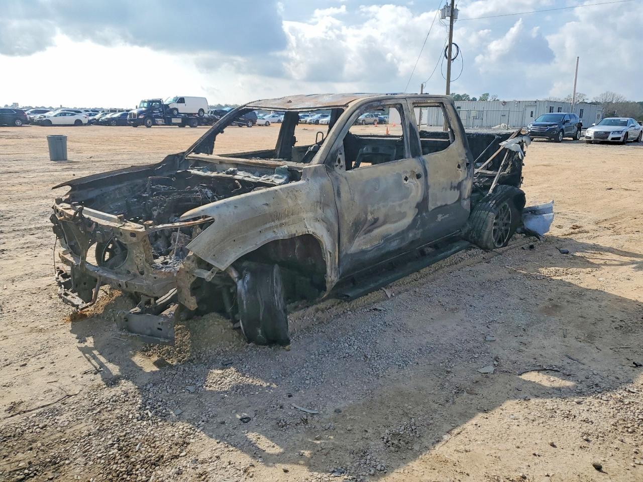 TOYOTA TACOMA 2024