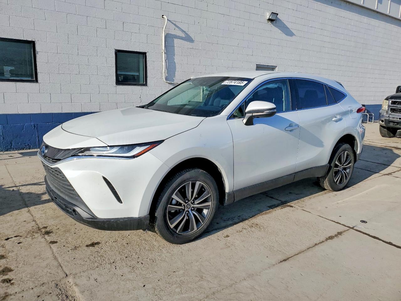 TOYOTA VENZA 2024