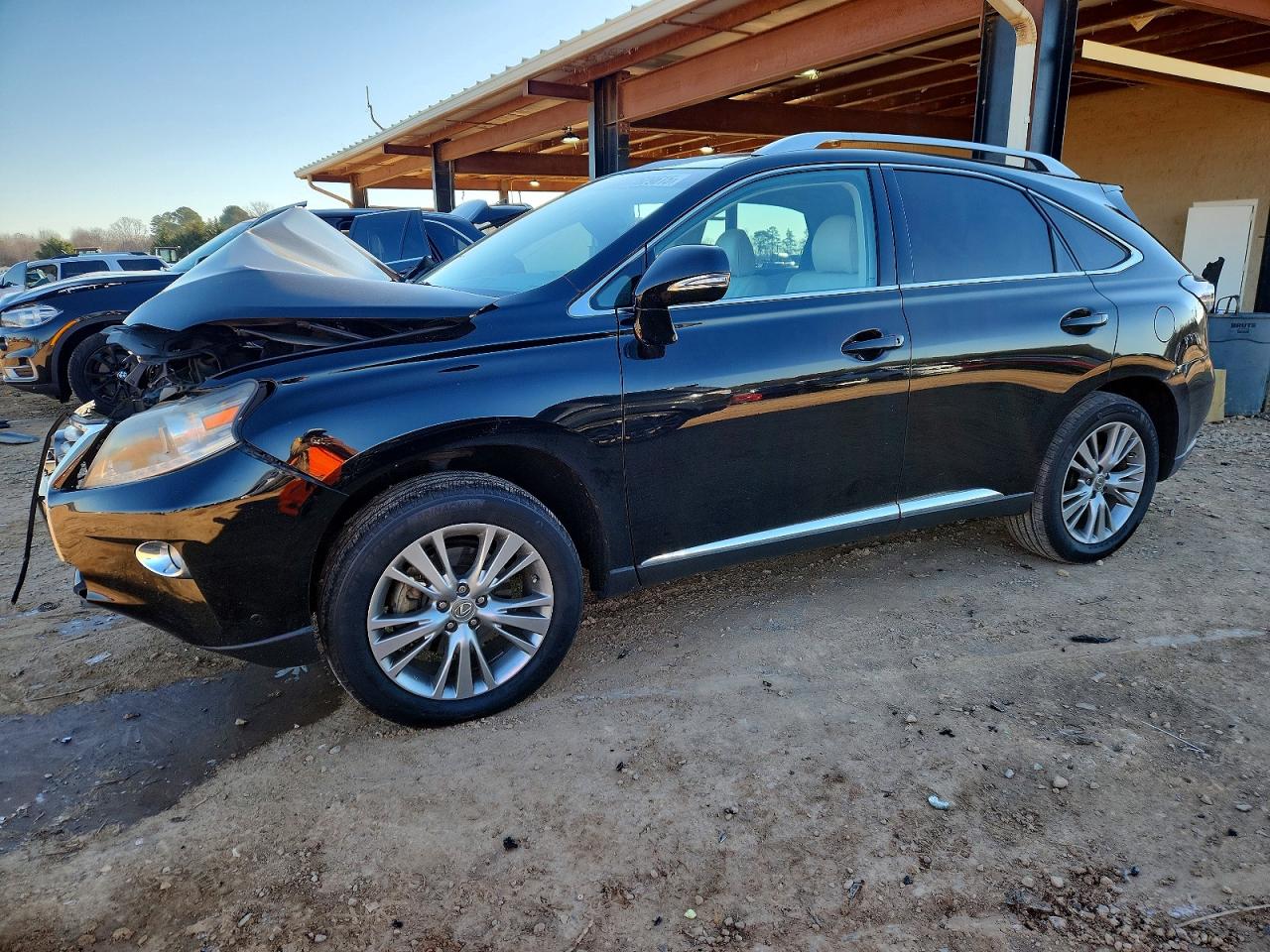 LEXUS RX 2013