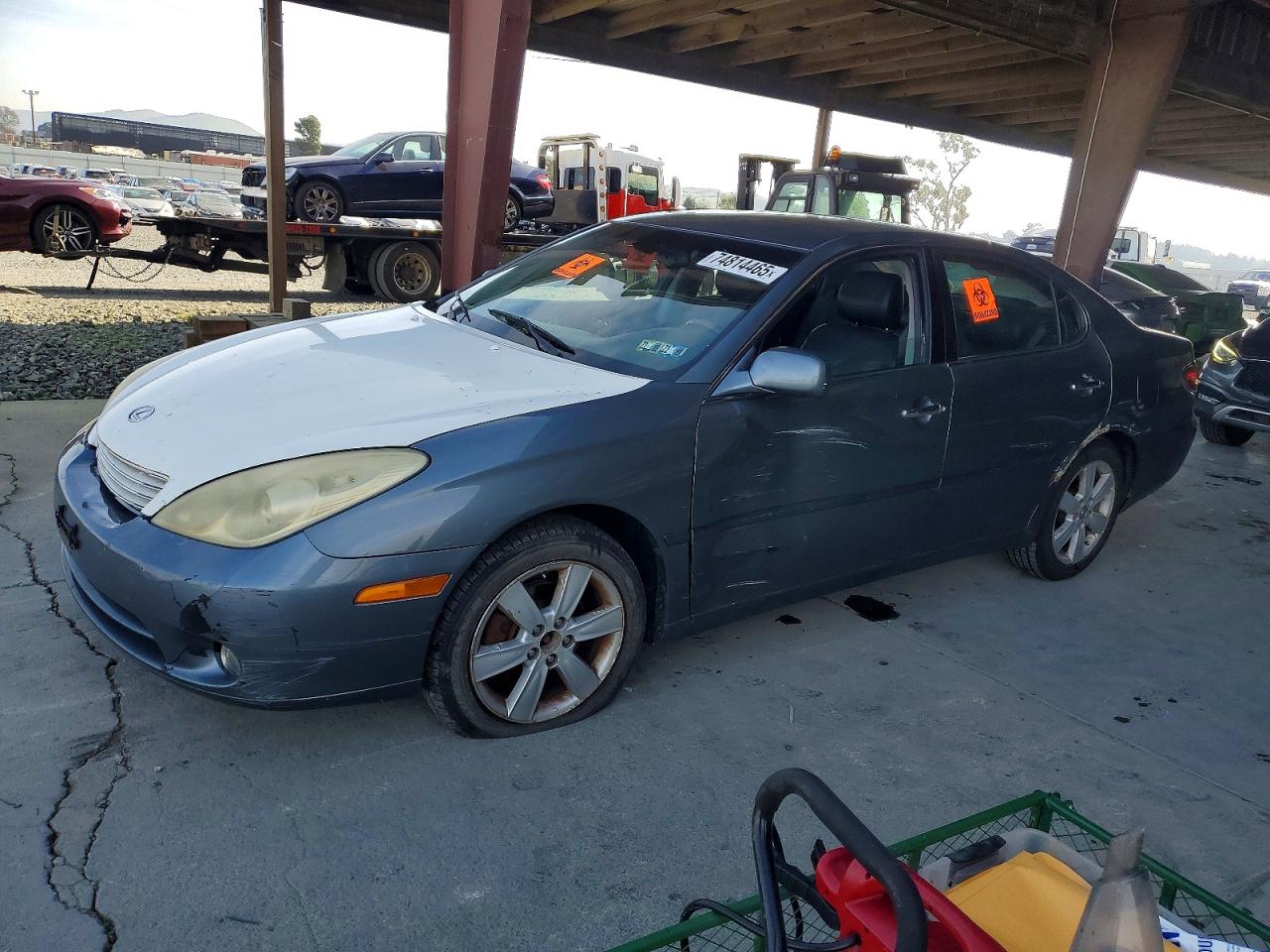 LEXUS ES 2005