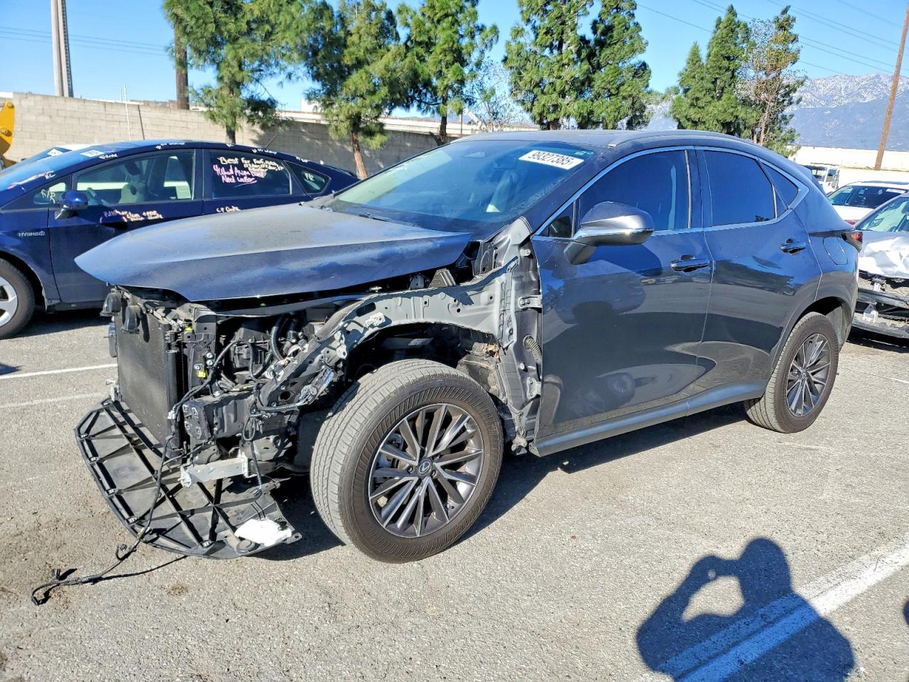 LEXUS NX 2024