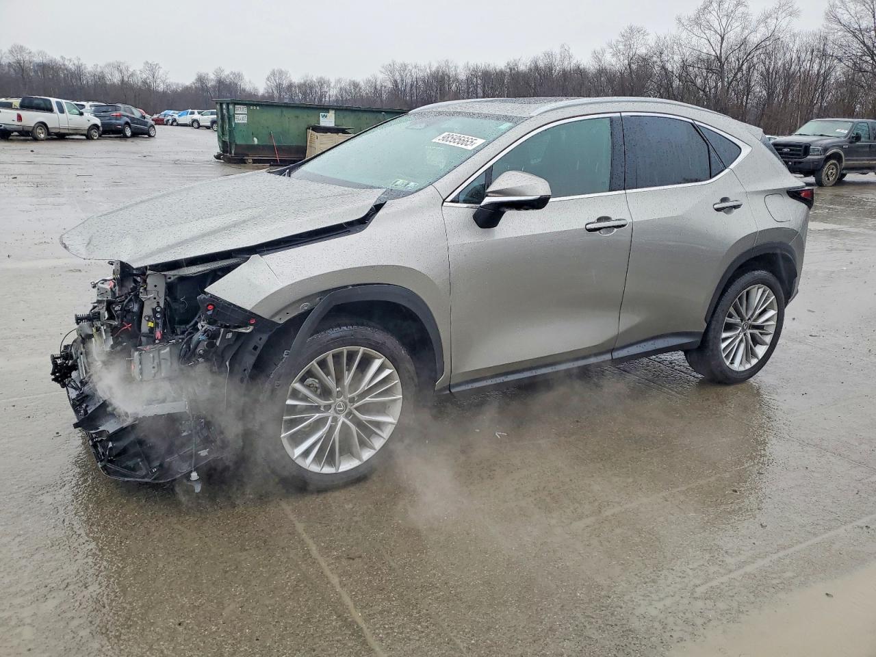 LEXUS NX 2025
