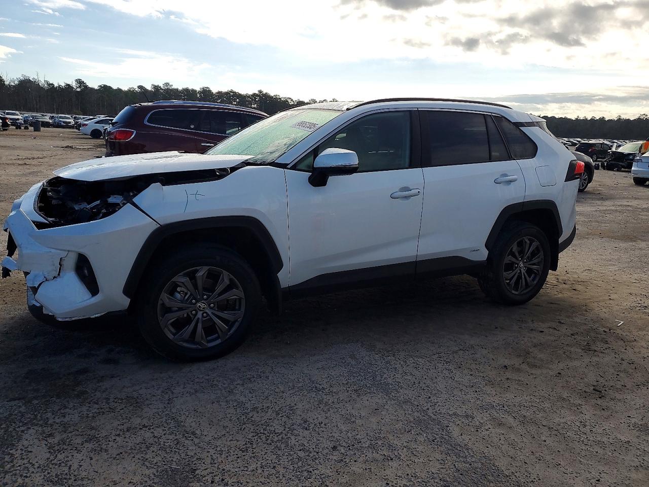 TOYOTA RAV4 2024