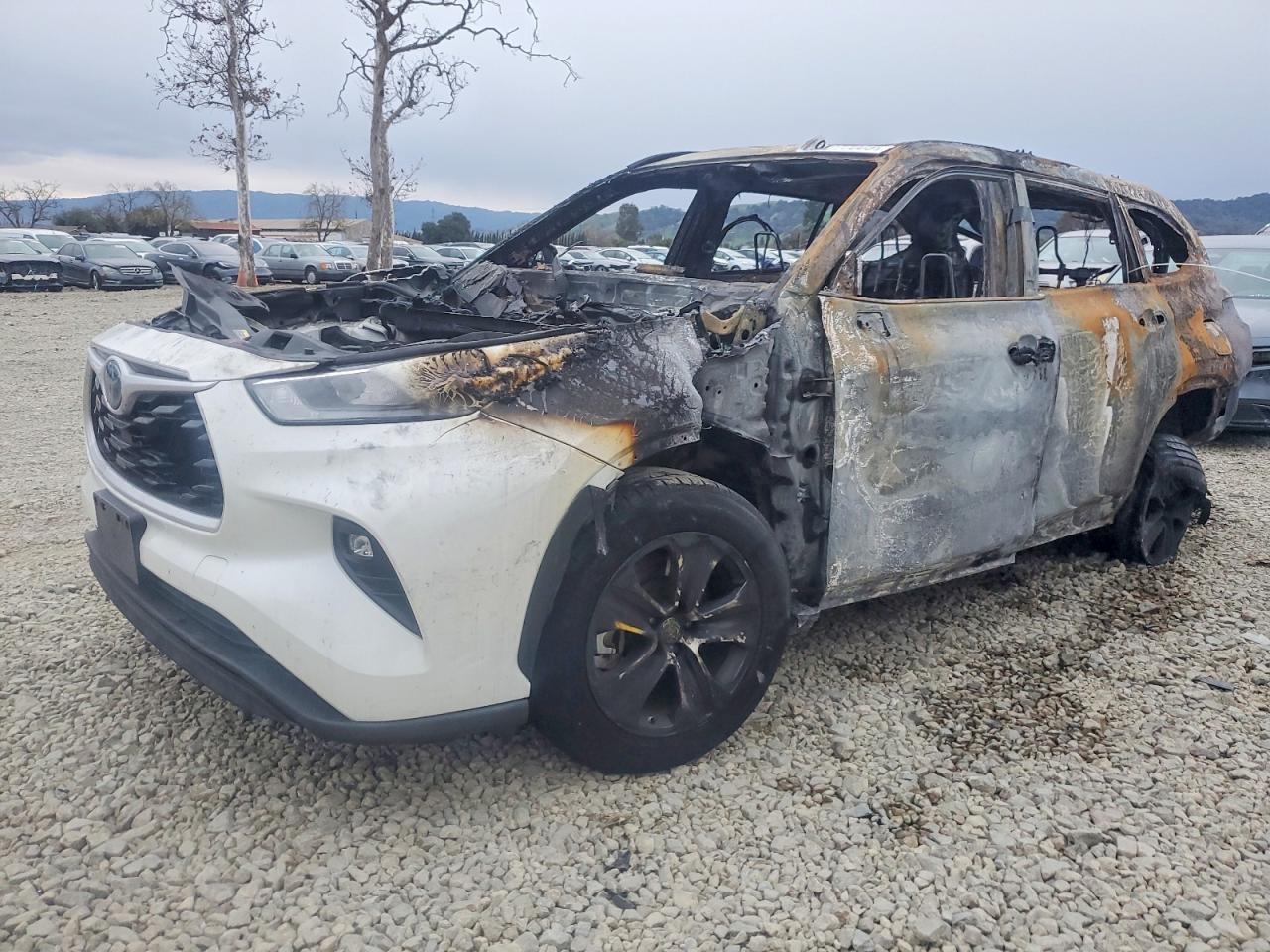 TOYOTA HIGHLANDER 2020