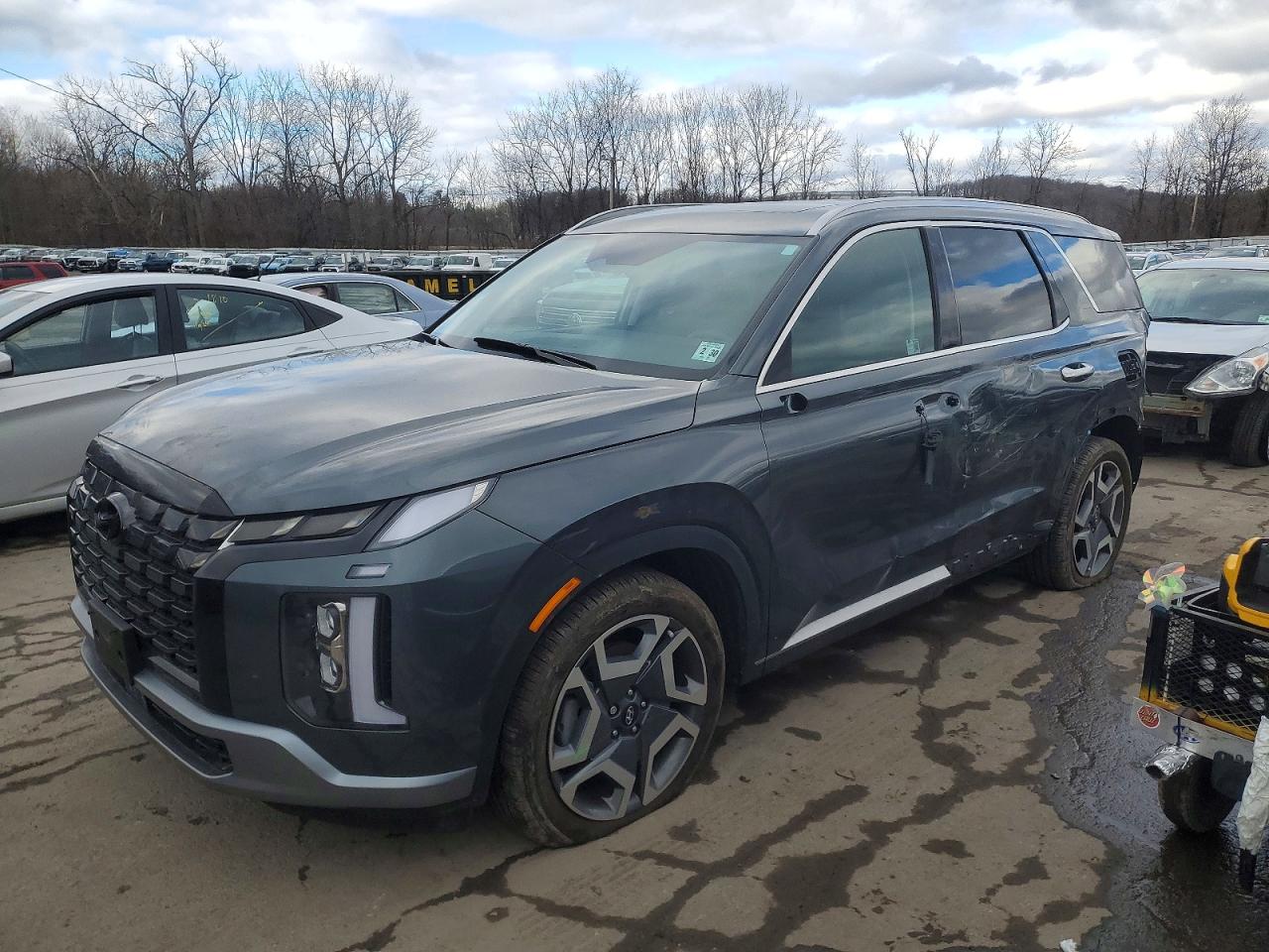 HYUNDAI PALISADE 2025