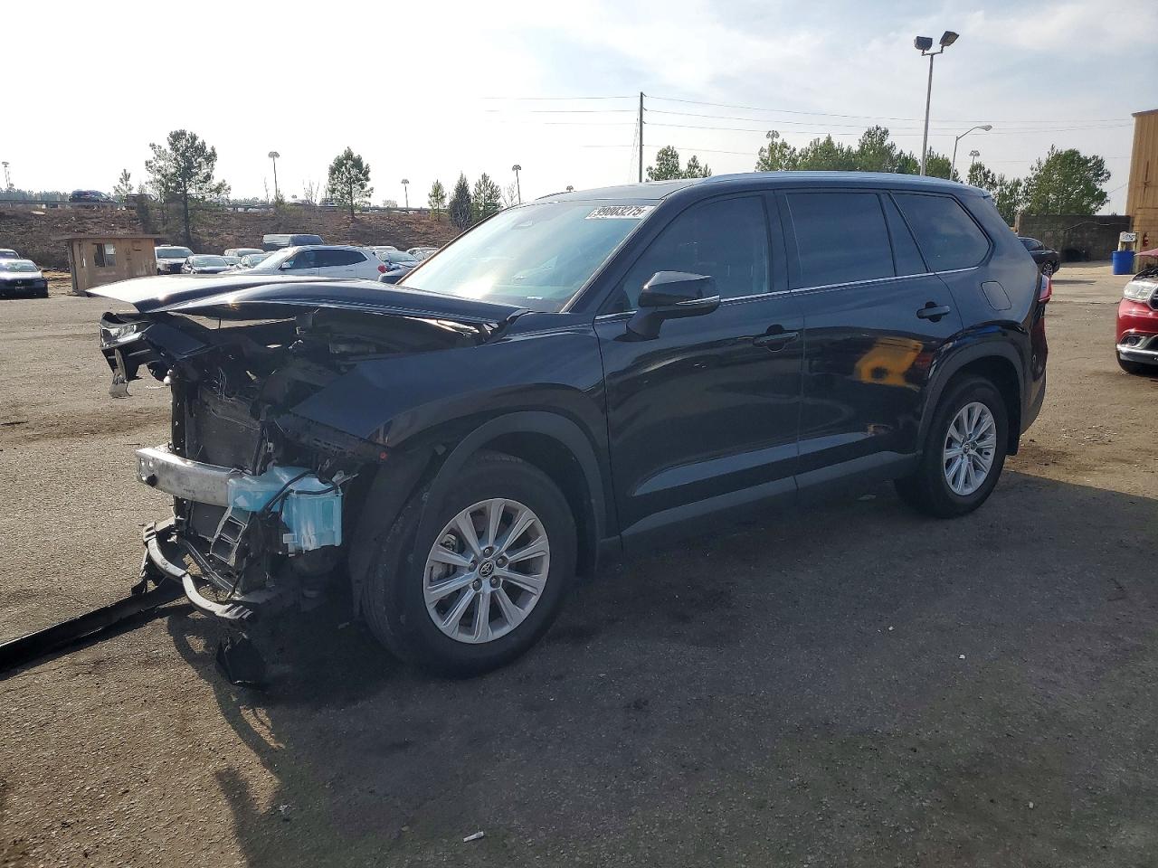 TOYOTA GRAND HIGHLANDER 2024
