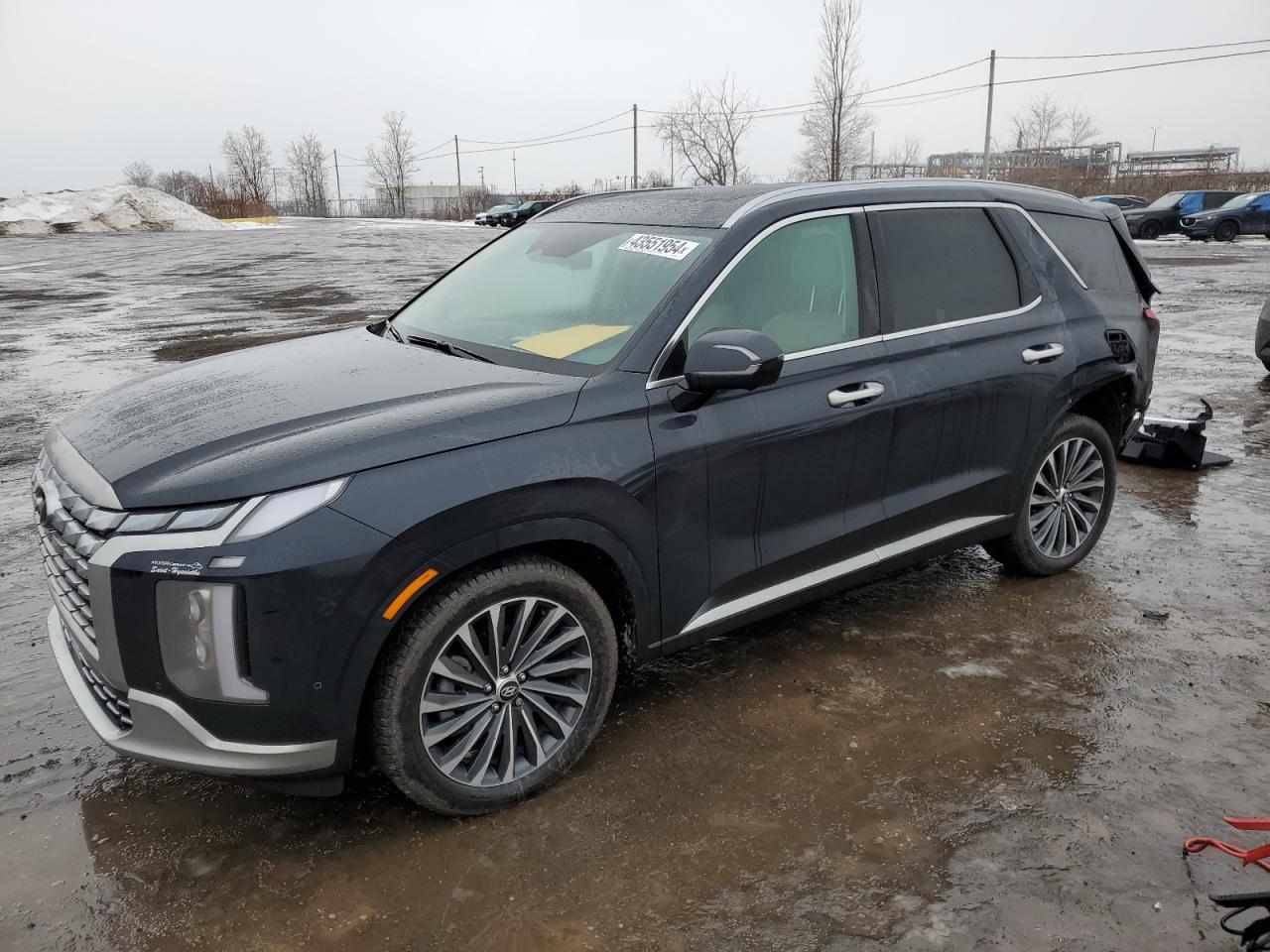 HYUNDAI PALISADE L 2024