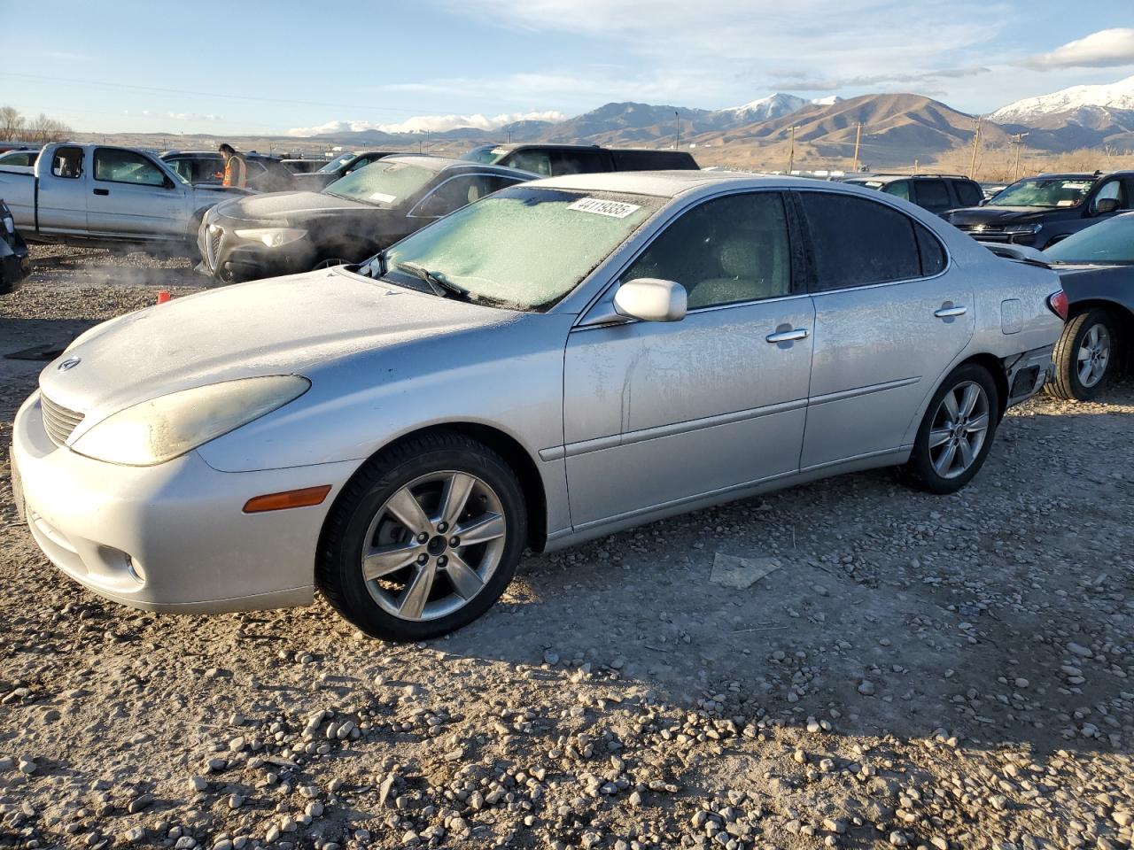 LEXUS ES 330 2005