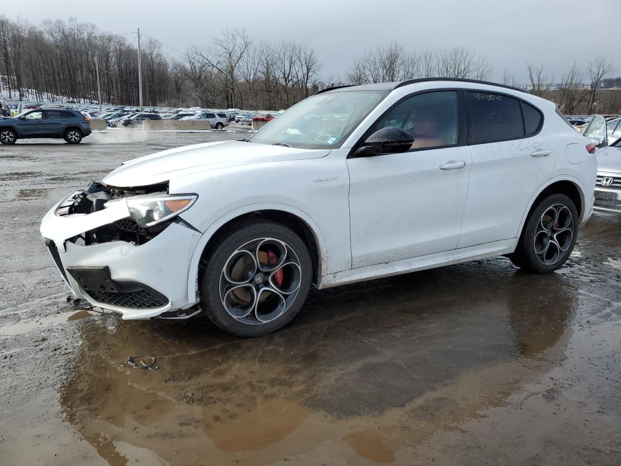 ALFA ROMEO STELVIO TI 2023