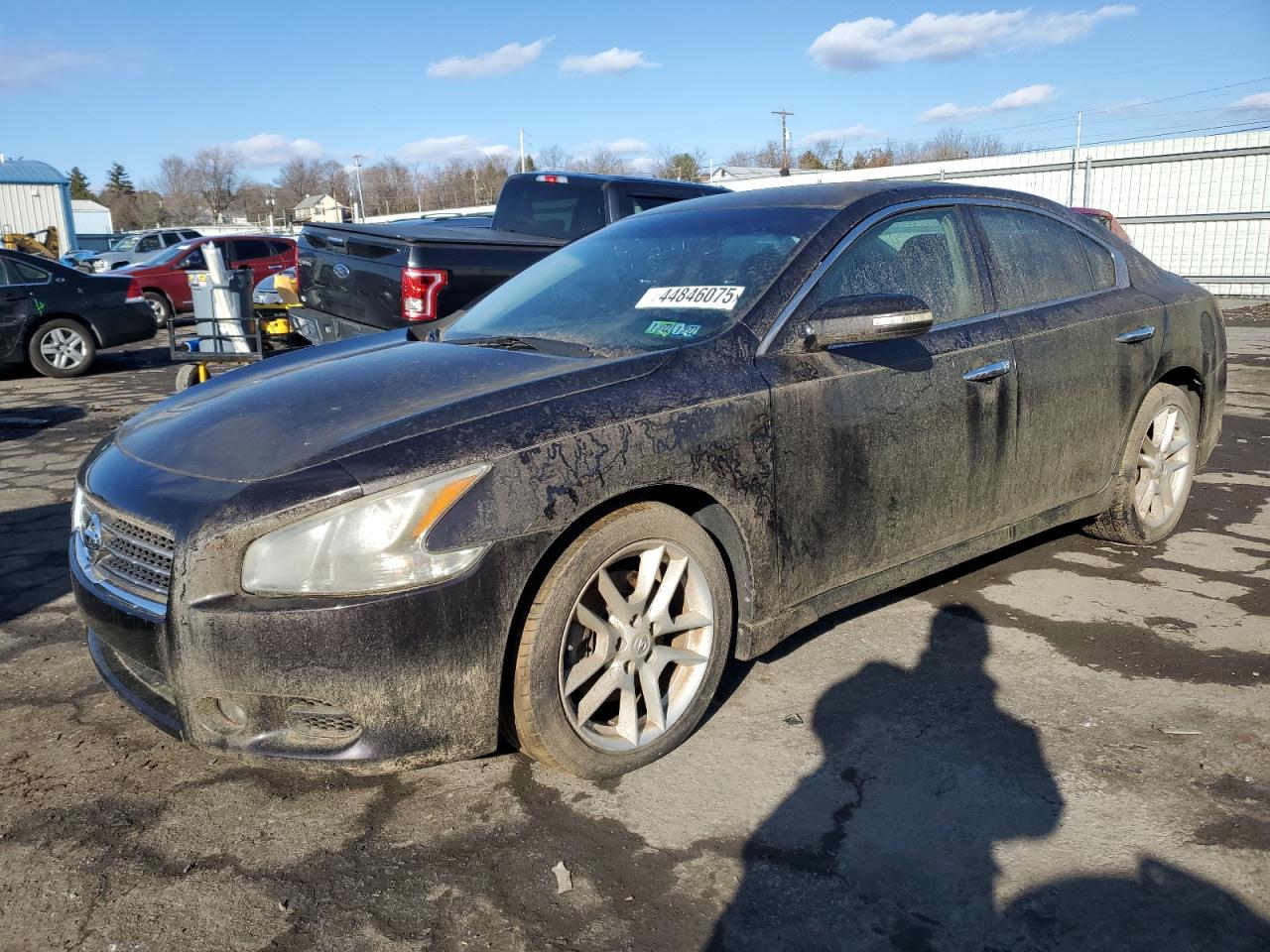 NISSAN MAXIMA 2010