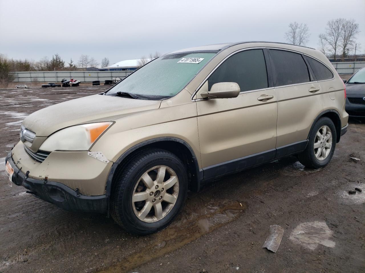 HONDA CR-V EXL 2007