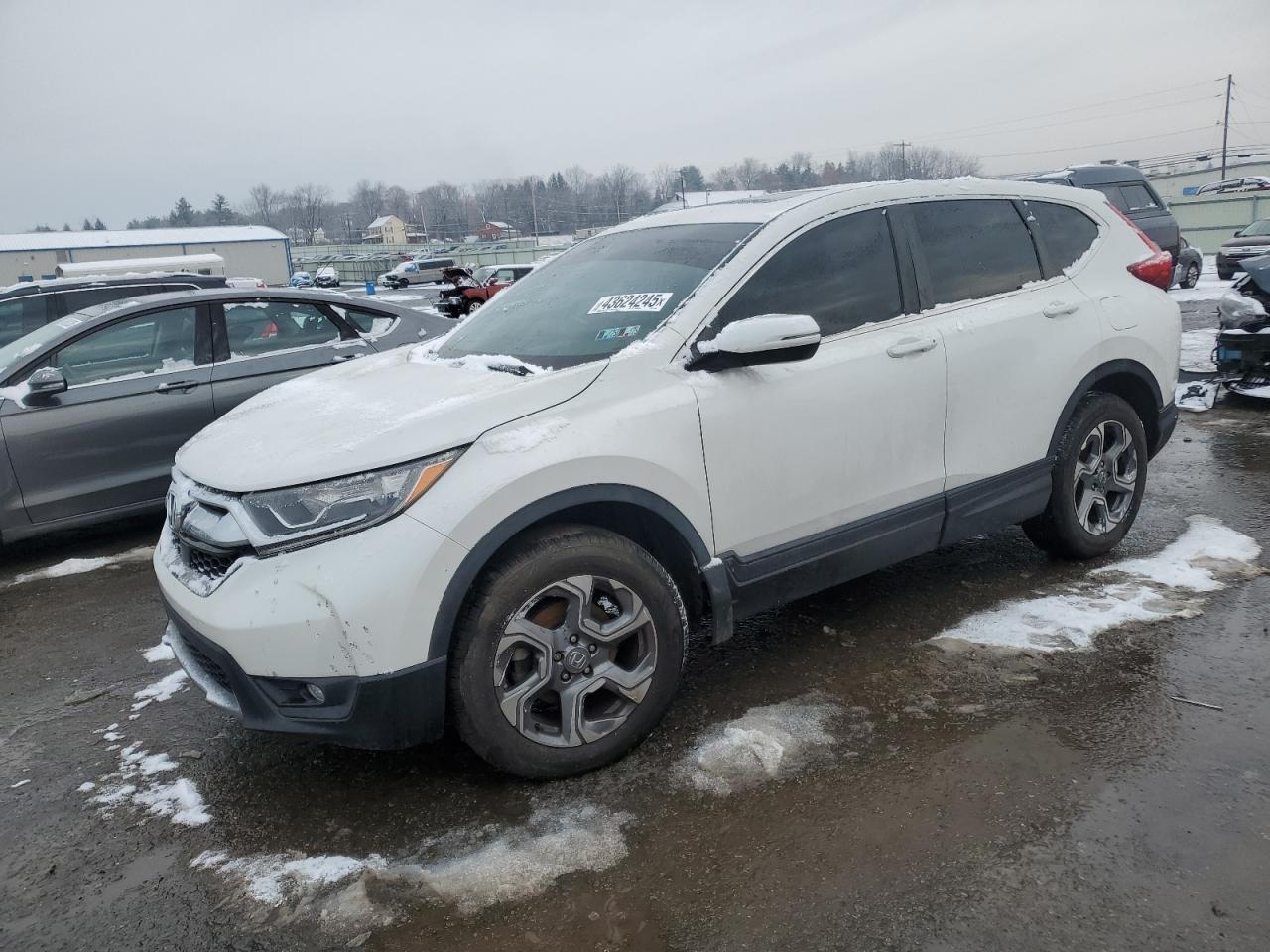 HONDA CR-V EX 2019