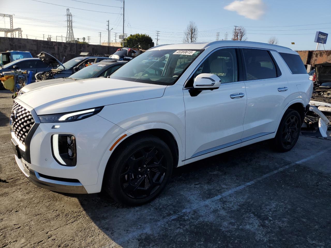 HYUNDAI PALISADE C 2022