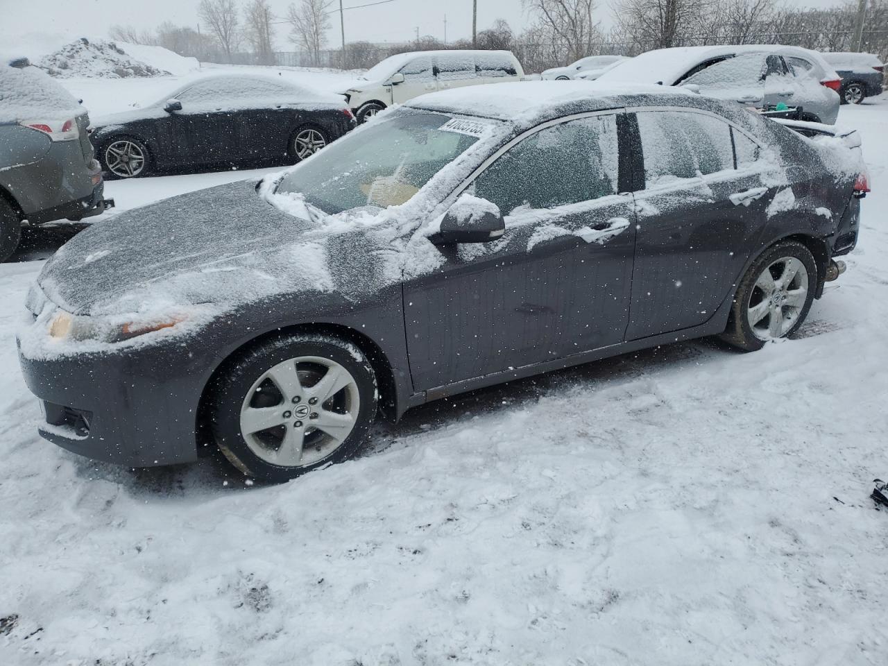 ACURA TSX 2010