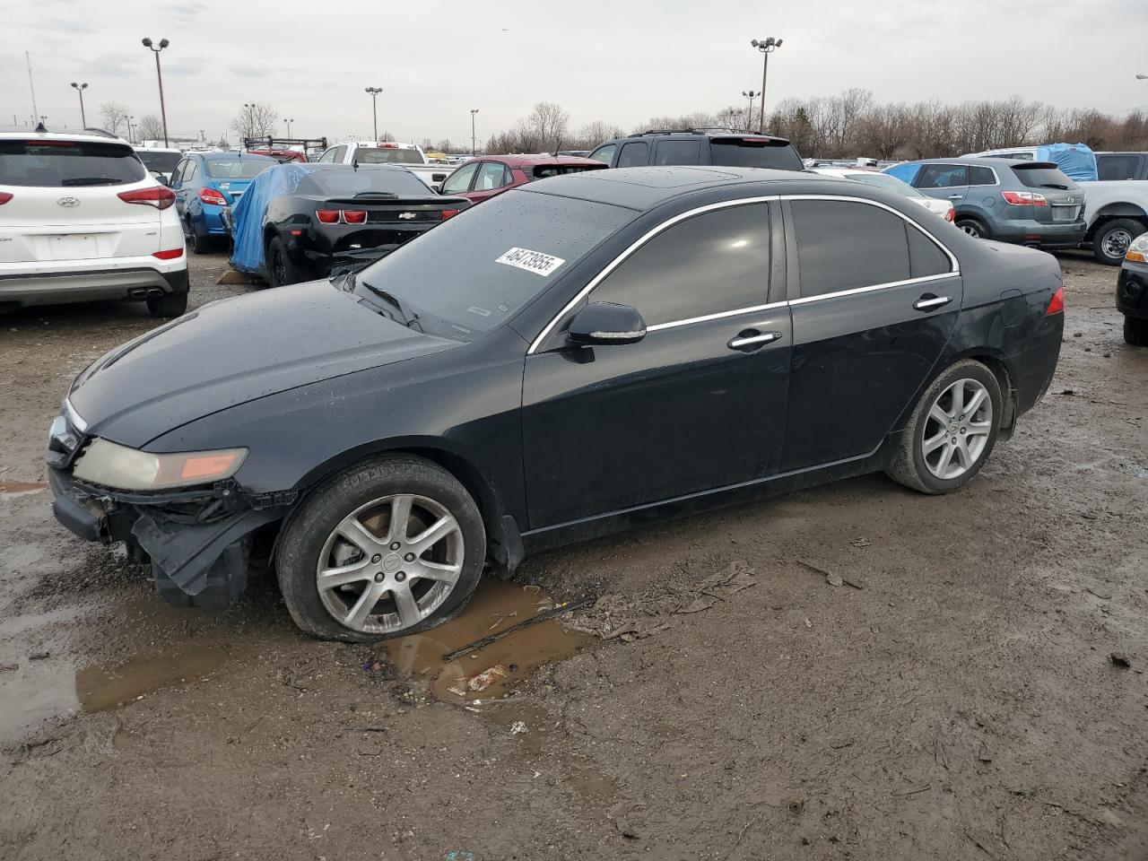 ACURA TSX 2005