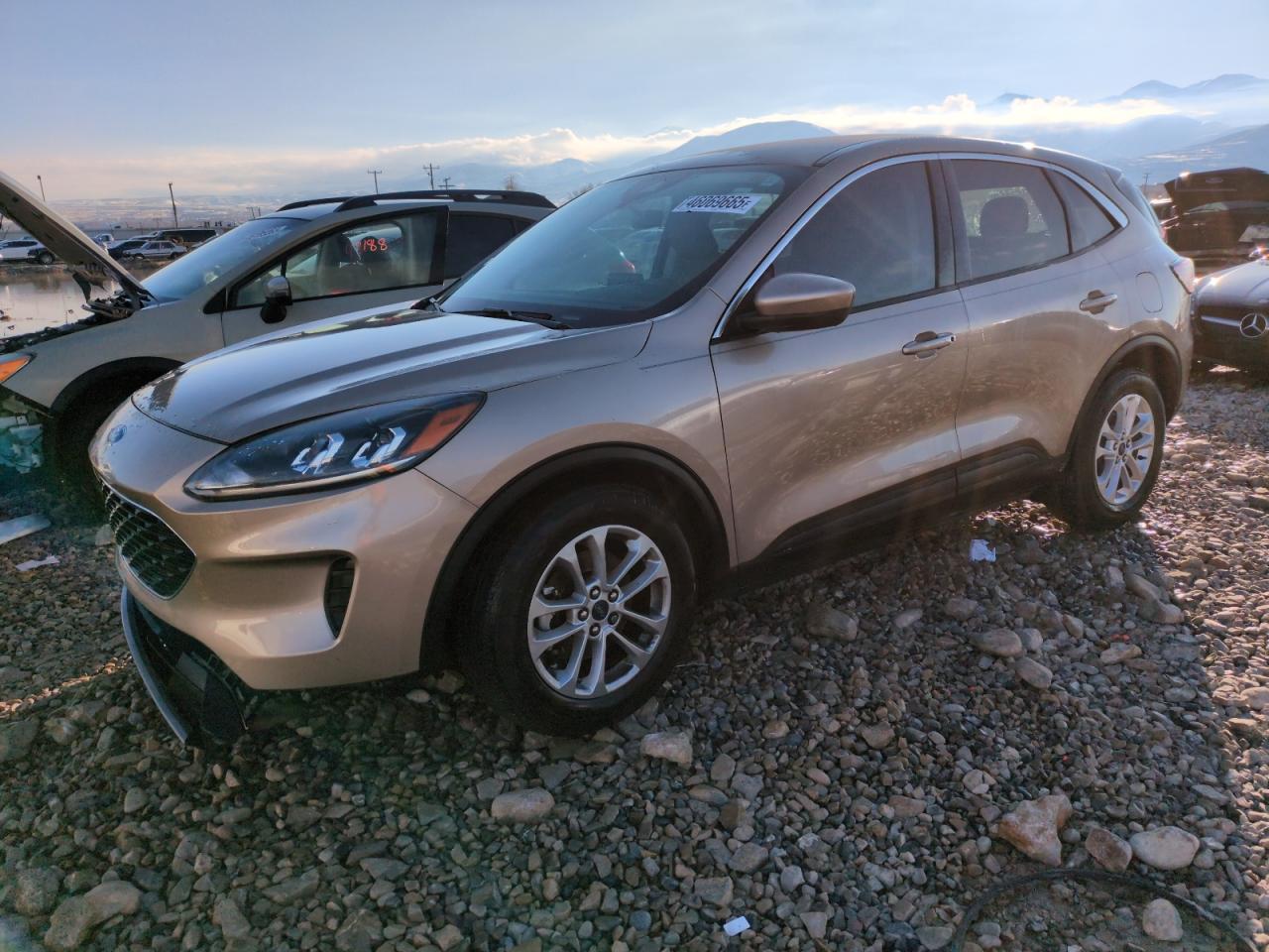FORD ESCAPE SE 2021