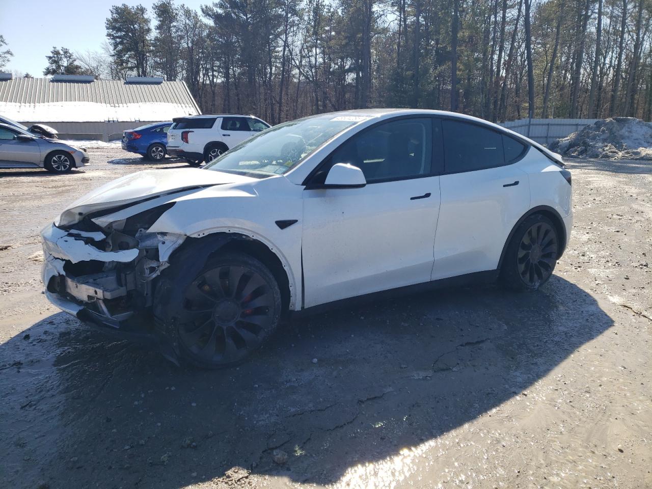 TESLA MODEL Y 2023
