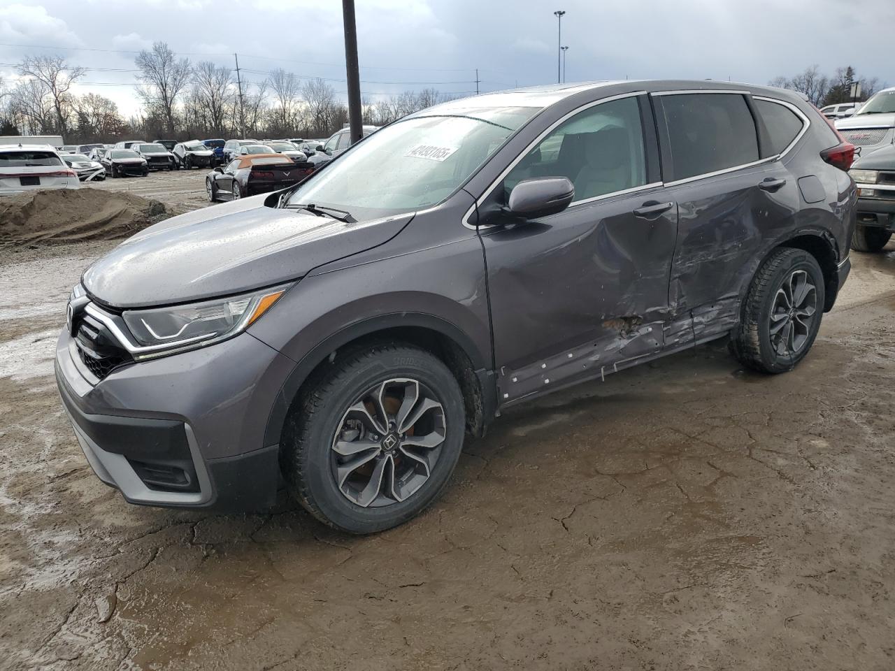 HONDA CR-V EX 2022