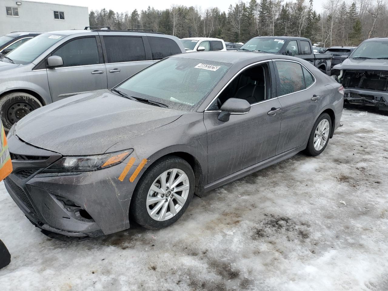 TOYOTA CAMRY SE N 2023