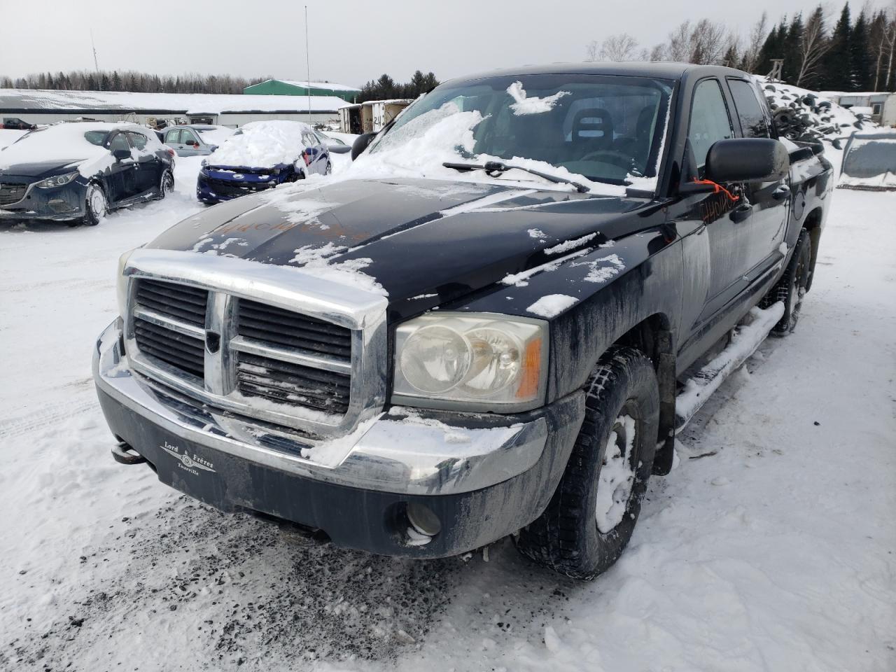 DODGE DAKOTA QUA 2005