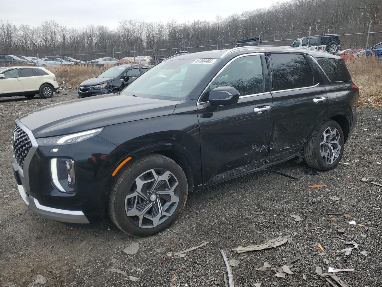 HYUNDAI PALISADE C 2021