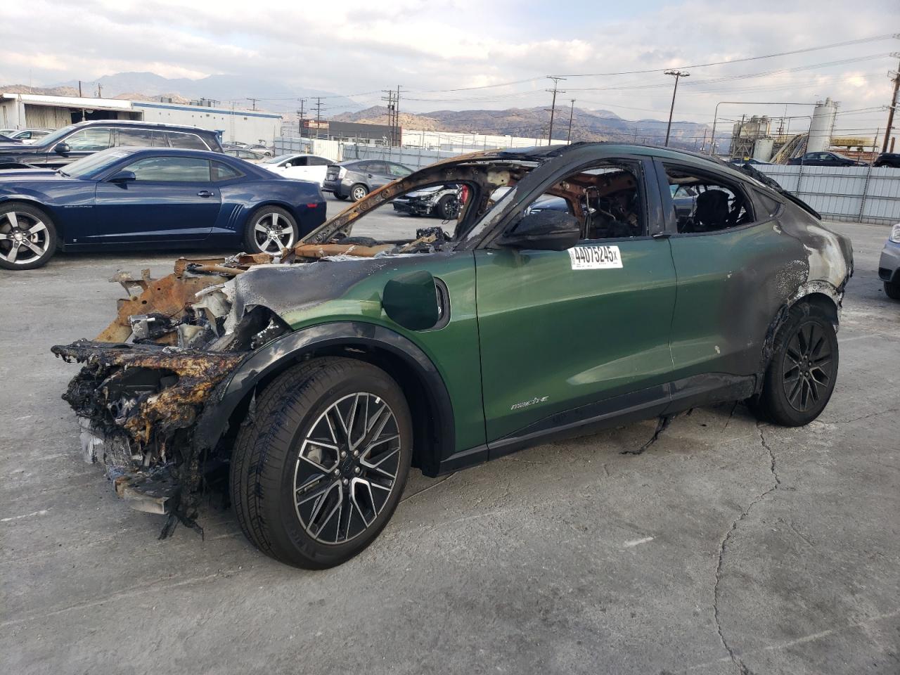FORD MUSTANG MA 2024