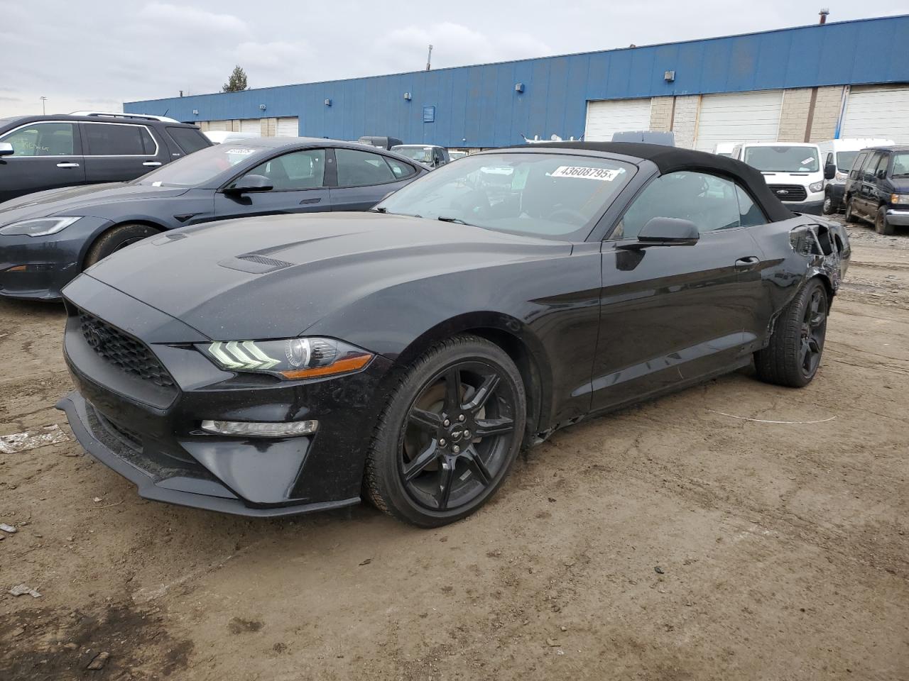 FORD MUSTANG 2019