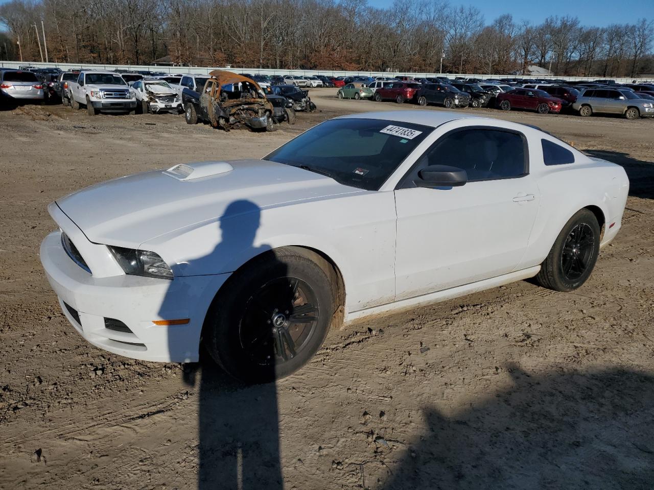 FORD MUSTANG 2014