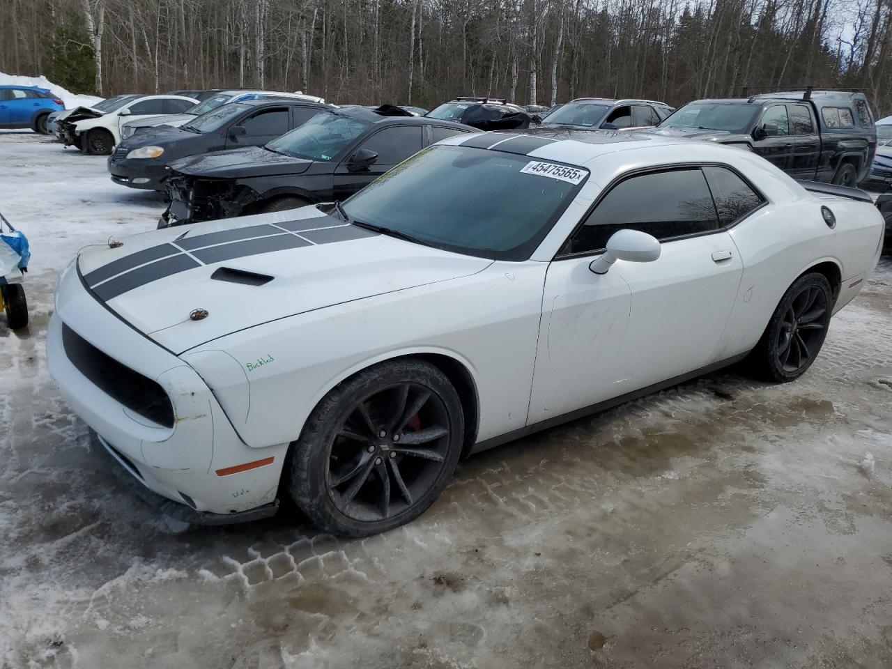 DODGE CHALLENGER 2018